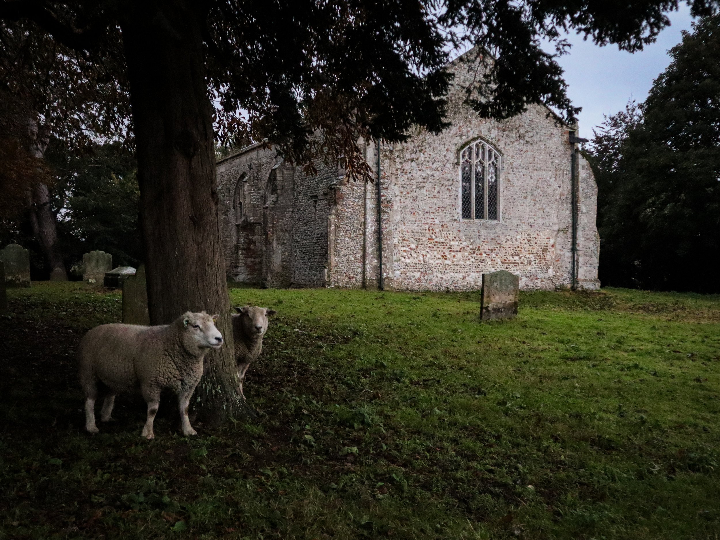 Norfolk, UK